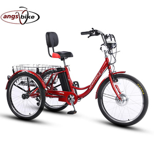 Triciclo de Carga de 20 Pulgadas al por Mayor desde China, Triciclo Tándem de Carrocería Abierta <span class=keywords><strong>para</strong></span> 2 <span class=keywords><strong>Adultos</strong></span>, Marco de Acero de Alto Carbono, Venta Económica - Product Image 3