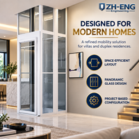 Ascenseur domestique pour villa, capacité 260kg 320kg 400kg, ascenseur intérieur pour passagers avec gaine en verre pour maison