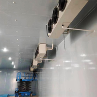 Grande chambre froide automatique Copeland pour stockage industriel de poulet congelé avec télécommande