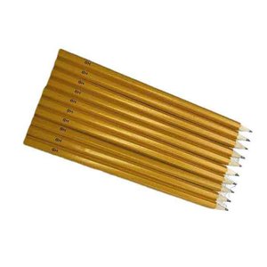 Crayons de couleur à pousses personnalisés, oubliez-moi, non fabriqués à partir de crayons à plantes en bois certifiés - Product Image 1