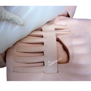 Avanzada <span class=keywords><strong>PICC</strong></span> Simulador de punción venosa periférica y la inyección modelo de enseñanza - Product Image 3