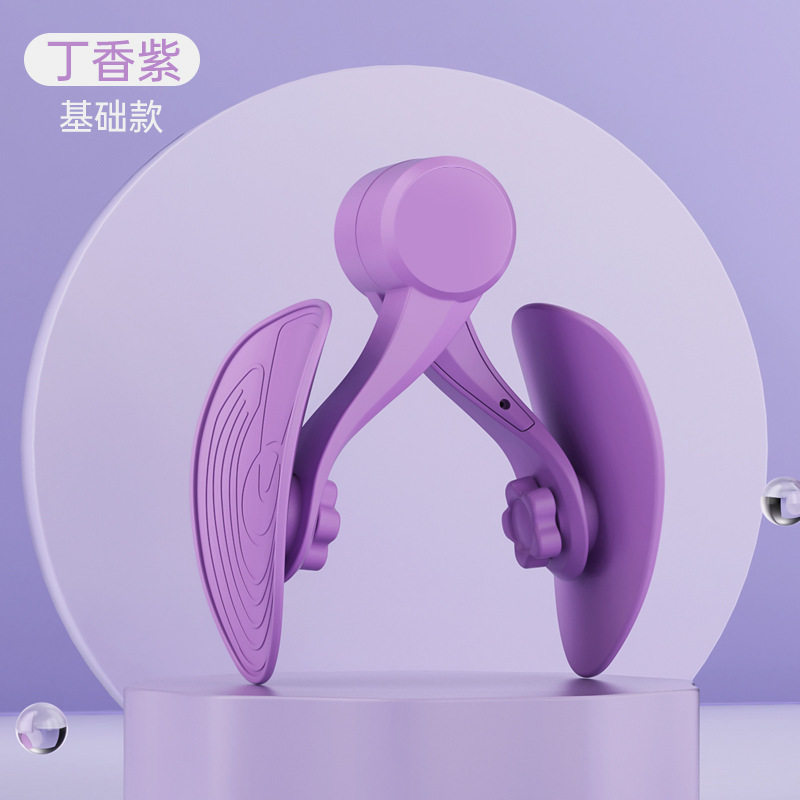 6th generation basic model purple