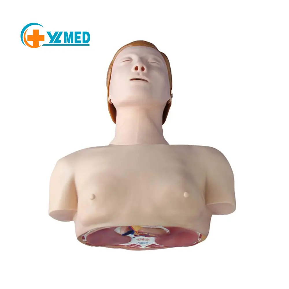 Menselijk Medisch Onderwijsmodel Van Semi-Body Geavanceerde Cardiopulmonale Reanimatietrainingssimulator