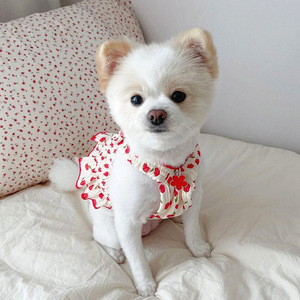 Teddy Bear Dress for Puppies, Summer <b>Clothes</b>, Small Pet Puppies, Bichon Frise, Pomeranian, Yorkshire Terrier, <b>Cats</b>, - Product Image 5