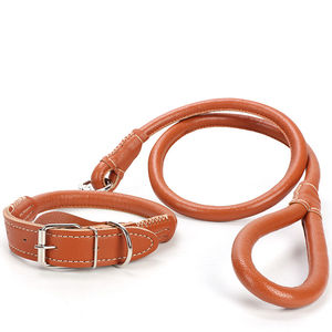 Penjualan Laris 2022 Kalung dan Tali Kulit Anjing Berkualitas Tinggi Set Kalung Anjing Tali Kulit untuk Anjing - Product Image 2