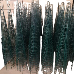 <span class=keywords><strong>Tomates</strong></span> Spirale <span class=keywords><strong>de</strong></span> Croissance Enjeux Végétaux - Product Image 1
