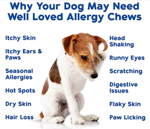 Precio de fábrica personalizado perro alergia alivio masticables con Omega 3 aceite de pescado picazón alivio para perros alergias y apoyo inmunológico suplemento - Product Image 2