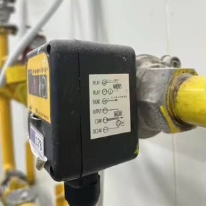 Moniteur de débit de gaz CMG250P01010000C pour équipement de combustion, surveillance du débit de gaz Butane (GPL) Spécial - Product Image 1