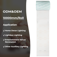 Panneau LED en marbre blanc monocouleur extra long certifié CE 528 LED 24V 48W 10*0,24m