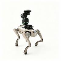 GreenValley LiGrip O2 GNSS Sourcing Festival 2026 Roboterhund 3D-Laserscanner SLAM LiDAR für Minenvermessung und Gefahrenbereiche