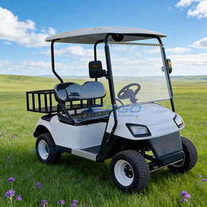 Voiturette de golf électrique 2 places, modèle d'usine, très demandée, avec conteneur, au meilleur prix - Product Image 2