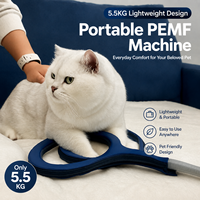 Machine de rééducation vétérinaire pour chevaux, prix promotionnel, machine professionnelle de physiothérapie équine Magneto PEMF