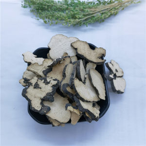 Zhu Ling, Champignon à Pores Ovales Chinois, Polyporus <span class=keywords><strong>Umbellata</strong></span> Séché - Product Image 6
