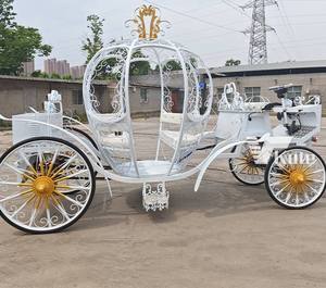 รถม้าแต่งงานสไตล์ยุโรปสุดหรูหรา ดีไซน์ฟักทอง ขายตรงจากโรงงาน - Product Image 6