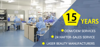 Module laser DPSS, tête laser 75W, pour couper le diamant en inde