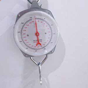 Cân Bằng Tay 200Kg, Cân Bằng Lò Xo Cơ Khí - Product Image 3