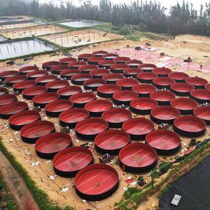 Vasca da Pesce Rotonda in Plastica per Allevamento in Acqua Salata, Stagno Circolare in PP per Allevamento di Salmone e Gamberetti con Sistema RAS, Attrezzatura per Acquacoltura di Nuova Generazione - Product Image 3