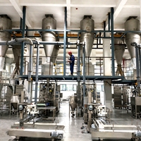 Ligne de production de poudre détergente conforme aux normes d'émission de gaz résiduels