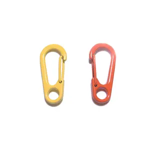 15mm*32mm Wholesale D Shaped Spray Paint Metal Key Buckle Key Chain Metal Crafts Hardware Accessories