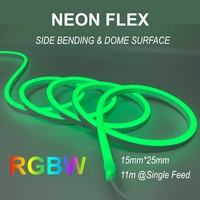 Bande LED Néon Flexible RGBW Étanche IP68 15*25mm DC24V pour Éclairage de Dôme, Façades Extérieures, Bars, KTV et Projets de Jardin
