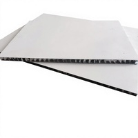 Panneaux en nid d'abeille en aluminium de grande taille pour les plafonds de couloir dans les centres commerciaux moyens et grands