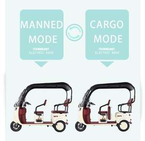 Flaggschiff-Modell: 72V 800W elektrisches Trike-selbst fahrende/Fracht-/Passagier modi - Product Image 3