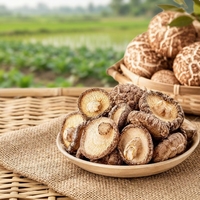 Échantillon de champignons Shiitake séchés naturellement à l'air, champignons comestibles, petite commande d'essai