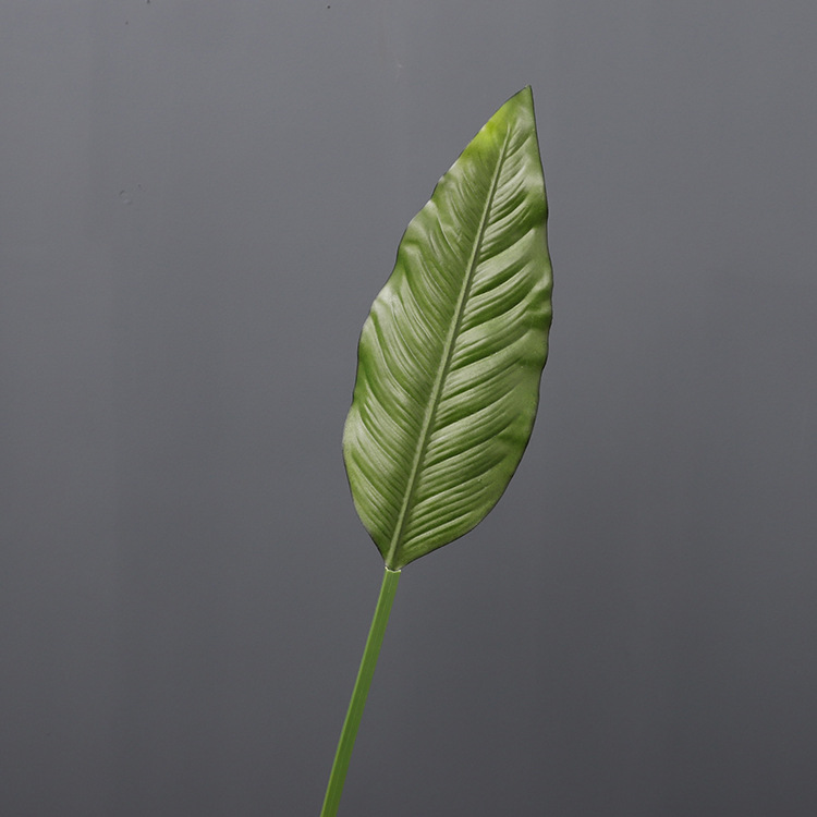 petites feuilles de bananier