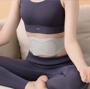 Portable sans fil rapide <span class=keywords><strong>coussin</strong></span> <span class=keywords><strong>chauffant</strong></span> électrique taille ceinture dispositif <span class=keywords><strong>dos</strong></span> ou <span class=keywords><strong>ventre</strong></span> ceinture chauffante multi-fonction taille impulsion masseur - Product Image 6