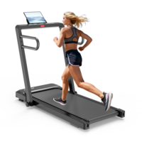 Proveedor de Equipos de Ejercicio, Tapis de Course, Caminadora, Tapete para Caminar, Caminadora para el Hogar, Caminadora Debajo del Escritorio con Inclinación