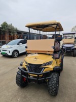 Voiturettes de golf électriques bon marché Buggy Car Chinese Mini Usa Street Legal Golf Cars 6 Seat 2Seat 4x4