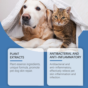 PET ODM OEM Spray Soins des plaies pour animaux de compagnie Soulagement des points chauds et des démangeaisons de la peau Pommade de guérison recommandée Soins des plaies pour chiens et chats - Product Image 4