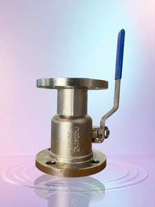 Vanne à boisseau sphérique à double blocage à passage plein Fe (à brides) - Product Image 2