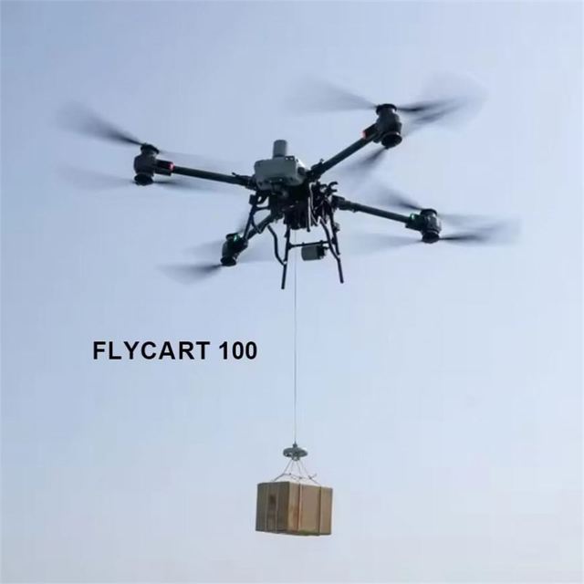 Overseas Version Flycart 100 Dron FC100 Delivery Cargo Dron Transportation UAV Original Stock VS Flycart 30