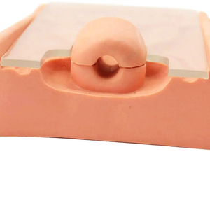 YULINプラスチック看護女性膣解剖モデルとIUDシミュレータ避妊ガイダンスモデル - Product Image 4