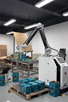 Robot Paletizador Automático para Bolsas de Arroz, Cajas, Barriles, Latas, Empaques de Película con Control PLC