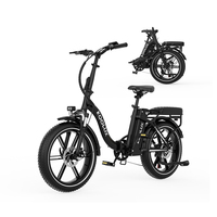 EU KOOLUX Vélo Pliant X16 avec Batterie Lithium 48V, Moteur Arrière 250W, Pneus Larges, Frein à Disque, 25Km/h, Couleur Personnalisée, Urbain