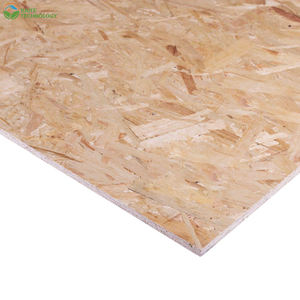 Tablero de Fibra Orientada (OSB) de 8mm-17mm - Product Image 5