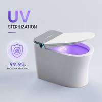 Toilette intelligente certifiée CE avec télécommande, sans réservoir, à chasse d'eau par gravité, allongée