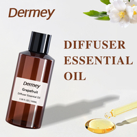 Huiles essentielles pures personnalisées les plus vendues 10 ml 50 ml 100 ml 500 ml 1000 ml pour diffuseurs d'aromathérapie