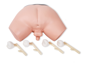 Simulatore per Esame della <span class=keywords><strong>Prostata</strong></span> Manichino L63 - Product Image 1