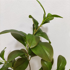ขายส่ง<span class=keywords><strong>แพงพวย</strong></span>ประดิษฐ์ใบพืชสีเขียวพืชเทียมตกแต่ง - Product Image 6