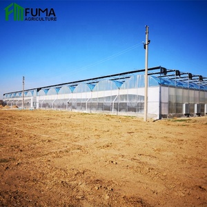 FM Moyen-Orient Polycarbonate Agriculture Verre vert Maison PC Feuille Multi Span Grande serre d'hiver <span class=keywords><strong>Tomates</strong></span> - Product Image 2