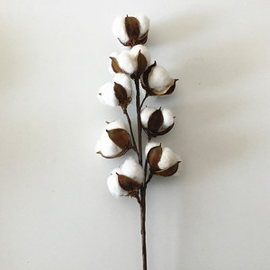 Wholesale 8 Heads Long <strong>Stem</strong> Dried Flowers Artificial <strong>Cotton</strong> for Wedding Home Decoration - Product Image 5