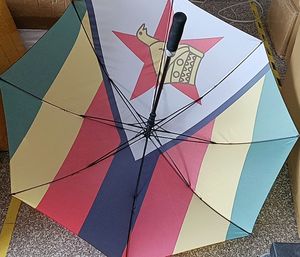 Custom Logo Cheap National Flag 100% Polyester 21*8K <strong>Travel</strong> Rain Sun Portable <strong>Repel</strong> <strong>Windproof</strong> Folding <strong>Umbrella</strong> Iran <strong>Umbrella</strong> - Product Image 4
