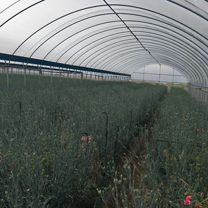 인기있는 하이 퀄리티 꽃과 식물을위한 저렴한 농업 온실 터널 - Product Image 4