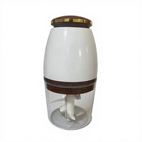 Mini robot culinaire électrique 300W, bol transparent sans BPA de 700 ml, commande à une touche, lame en acier inoxydable, hachoir à viande portable