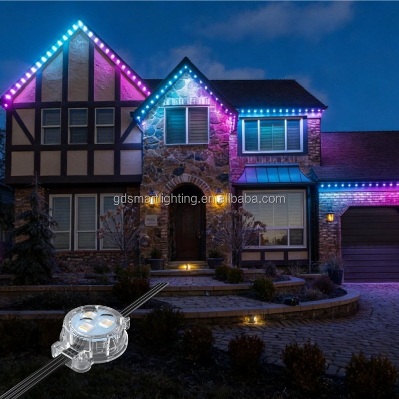 36V Smart Home Decoration Lights Outdoor Permanent Christmas Lighting Waterproof Ip67 UL Certificate Rgbw Led pixel Point Light