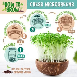 Farmhouse-Classic 200g Organic Microgreens Cress Garden Sow Kit Intérieur Maison Suspension ou Utilisation de plantes au sol - Product Image 5