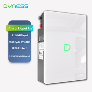 Dyness Powerdepot G2 LV 51,2 V 100AH Lifepo4 batería 5kwh IP66 batería de litio 8000 ciclo almacenamiento de energía en el hogar 5 ~ 250kwh con Solis - Product Image 2